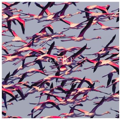 Deftones - Gore [ CD ]