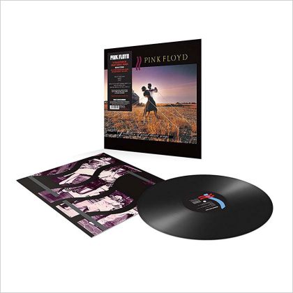 Pink Floyd - A Collection Of Great Dance Songs (Vinyl)