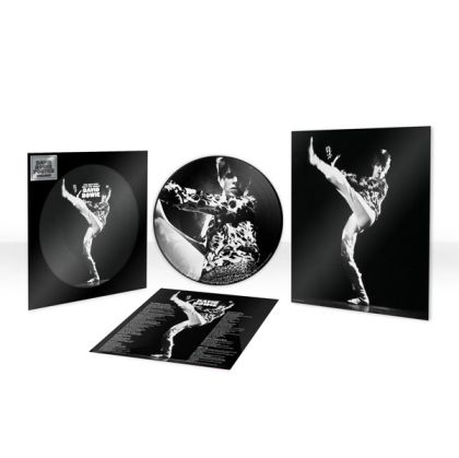 David Bowie - The Man Who Sold The World (Limited Edition, Picture Disc) (Vinyl)