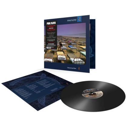 Pink Floyd - A Momentary Lapse Of Reason (Vinyl)