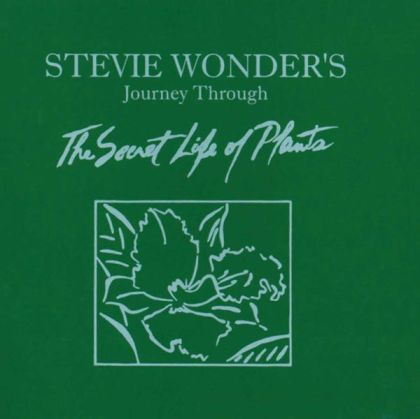 Stevie Wonder - Secret Life Of Plants (2CD)