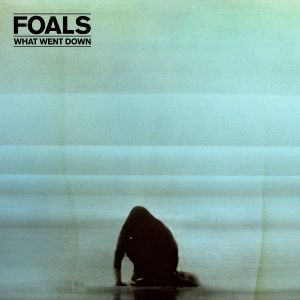 Foals - What Went Down (Vinyl)