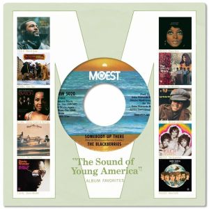 The Complete Motown Singles Vol. 12A 1972 - Various (5 x Vinyl with 7'' ) [ LP ]