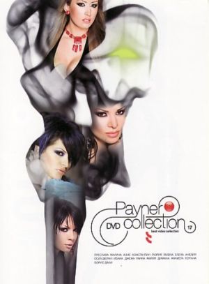 Payner DVD Collection Vol. 17 - Компилация (DVD-Video)