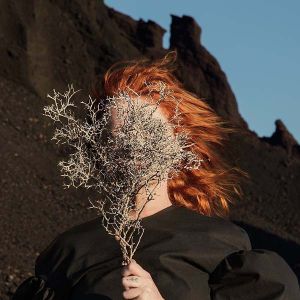 Goldfrapp - Silver Eye [ CD ]