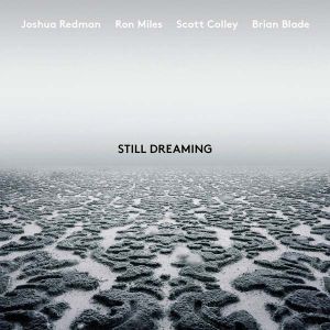 Joshua Redman - Still Dreaming (Feat. Ron Miles, Scott Coley & Brian Blade) (Vinyl) [ LP ]