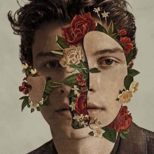 Shawn Mendes - Shawn Mendes (Standart Edition 14 tracks) [ CD ]