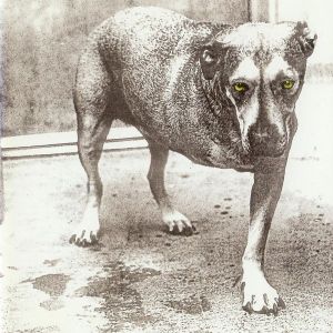 Alice In Chains - Alice In Chains [ CD ]