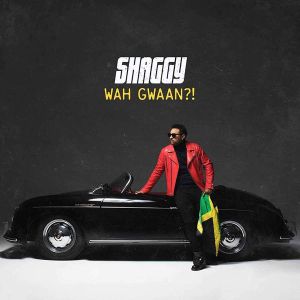 Shaggy - Wah Gwaan?! [ CD ]