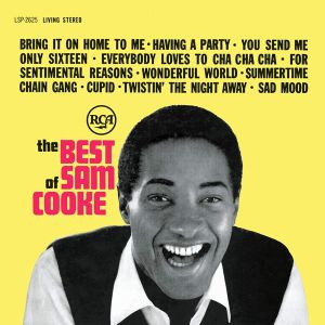 Sam Cooke - The Best Of Sam Cooke (Vinyl) [ LP ]