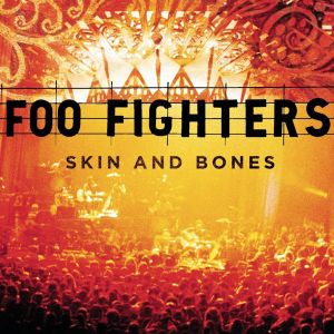 Foo Fighters - Skin And Bones (2 x Vinyl)