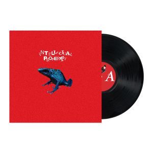 Waterparks - Intellectual Property (Vinyl)