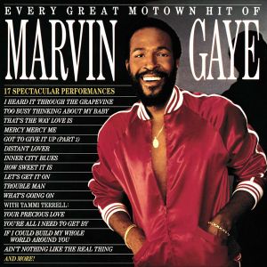 Marvin Gaye - Every Great Motown Hit Of Marvin Gaye: 15 Spectacular Performances (Vinyl)