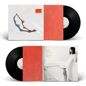 PJ Harvey - I Inside The Old Year Dying (Vinyl)