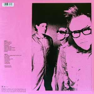 Blink 182 - One More Time... (Vinyl)