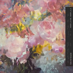 Rufus Du Sol - Inhale / Exhale (Black Ice Coloured) (Vinyl)