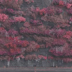 Sleep Token - Even In Arcadia [ CD ]