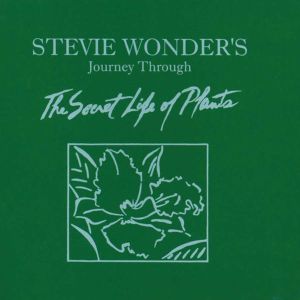 Stevie Wonder - Secret Life Of Plants (2CD)