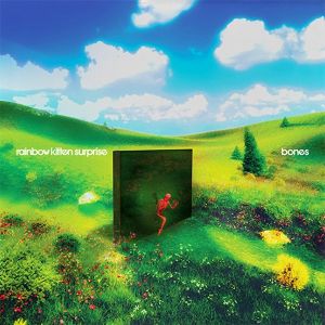 Rainbow Kitten Surprise - Bones (CD)
