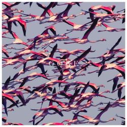 Deftones - Gore (2 x Vinyl)