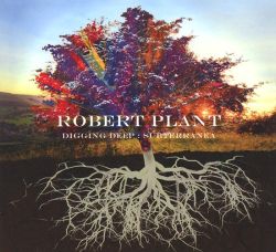 Robert Plant - Digging Deep: Subterranea (2CD)