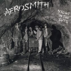 Aerosmith - Night In The Ruts (CD)