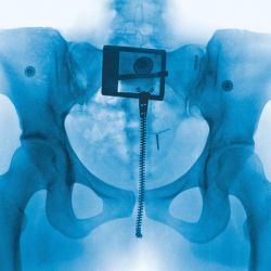 Lorde - Virgin (Vinyl)