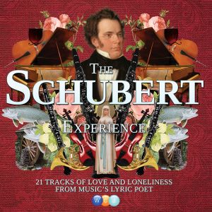 Schubert, F. - The Schubert  Experience (2CD) (CD)